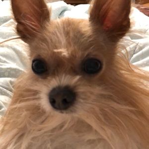 Meet your Posher, Angie